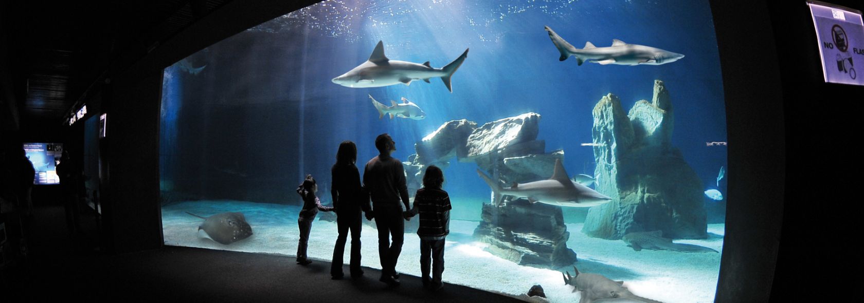 Agevolazioni e sconti fino 50 % nei più importanti parchi divertimento d'Italia