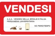 VIMINALE, SCUDERIA IN DECLINO