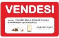 VIMINALE, SCUDERIA IN DECLINO