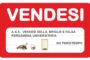 VIMINALE, SCUDERIA IN DECLINO